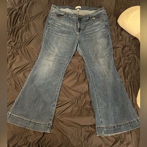 Lane Bryant Blue Jeans